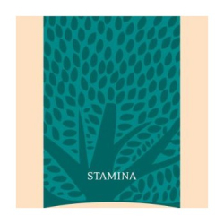 Essential Stamina 10kg EXPIRAČNÍ SLEVA 30%