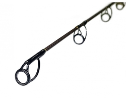 ZFISH PRUT CATFISH MORGA 2,70M/100-400G